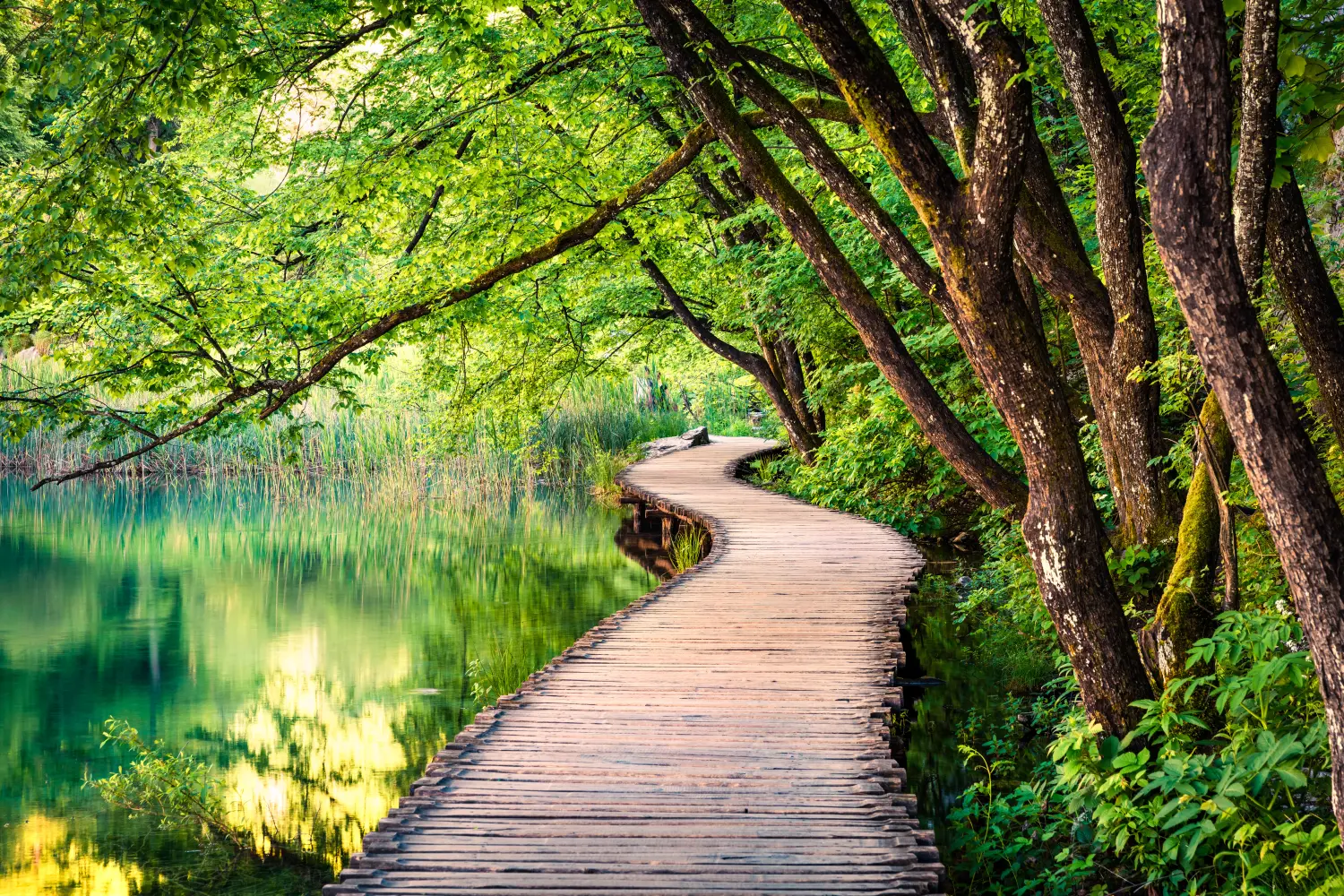 Life Coaching und Sport Mental Coaching