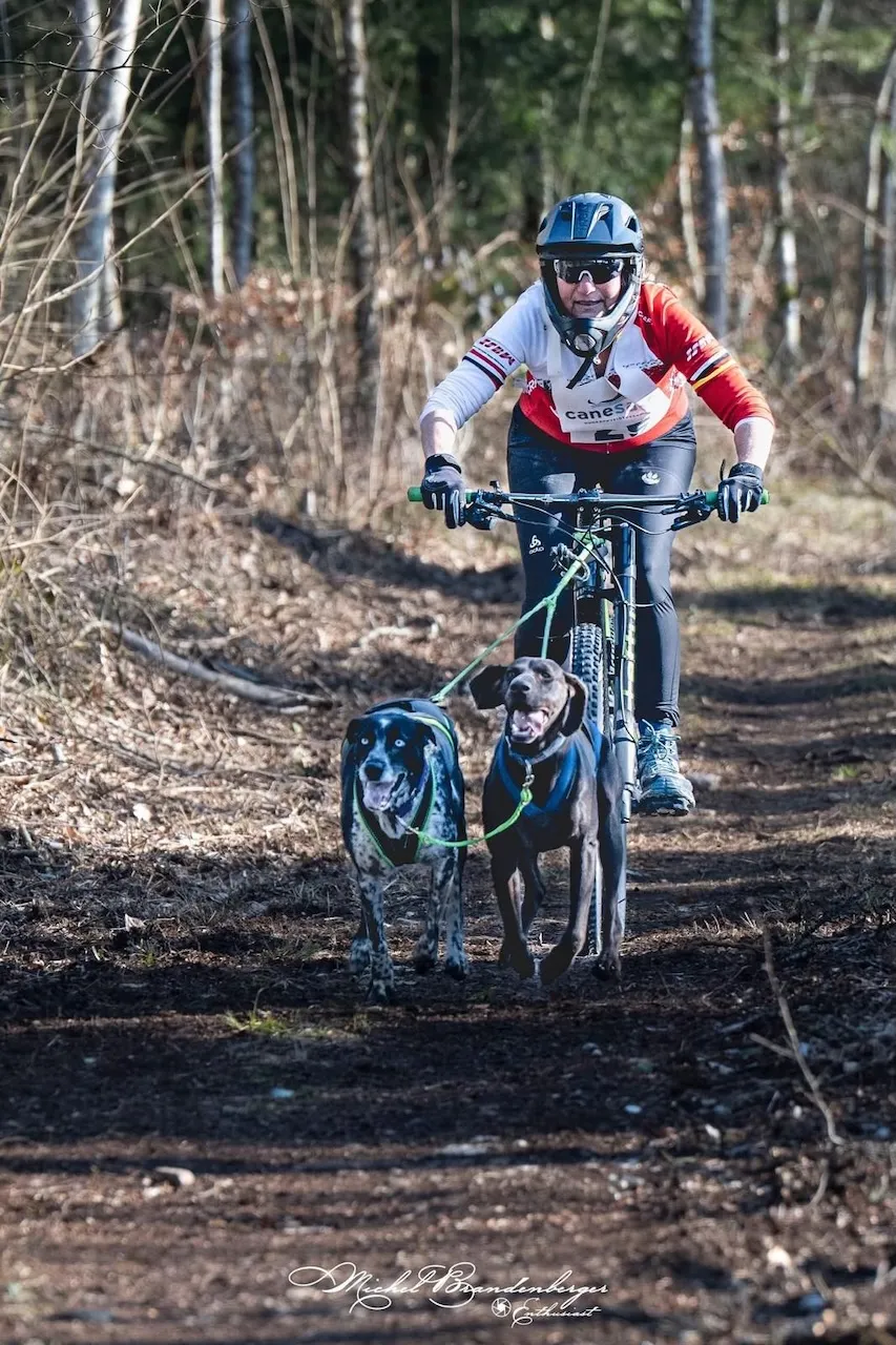Kind auf Fahrrad mit zwei Hunden von CRE Coaching